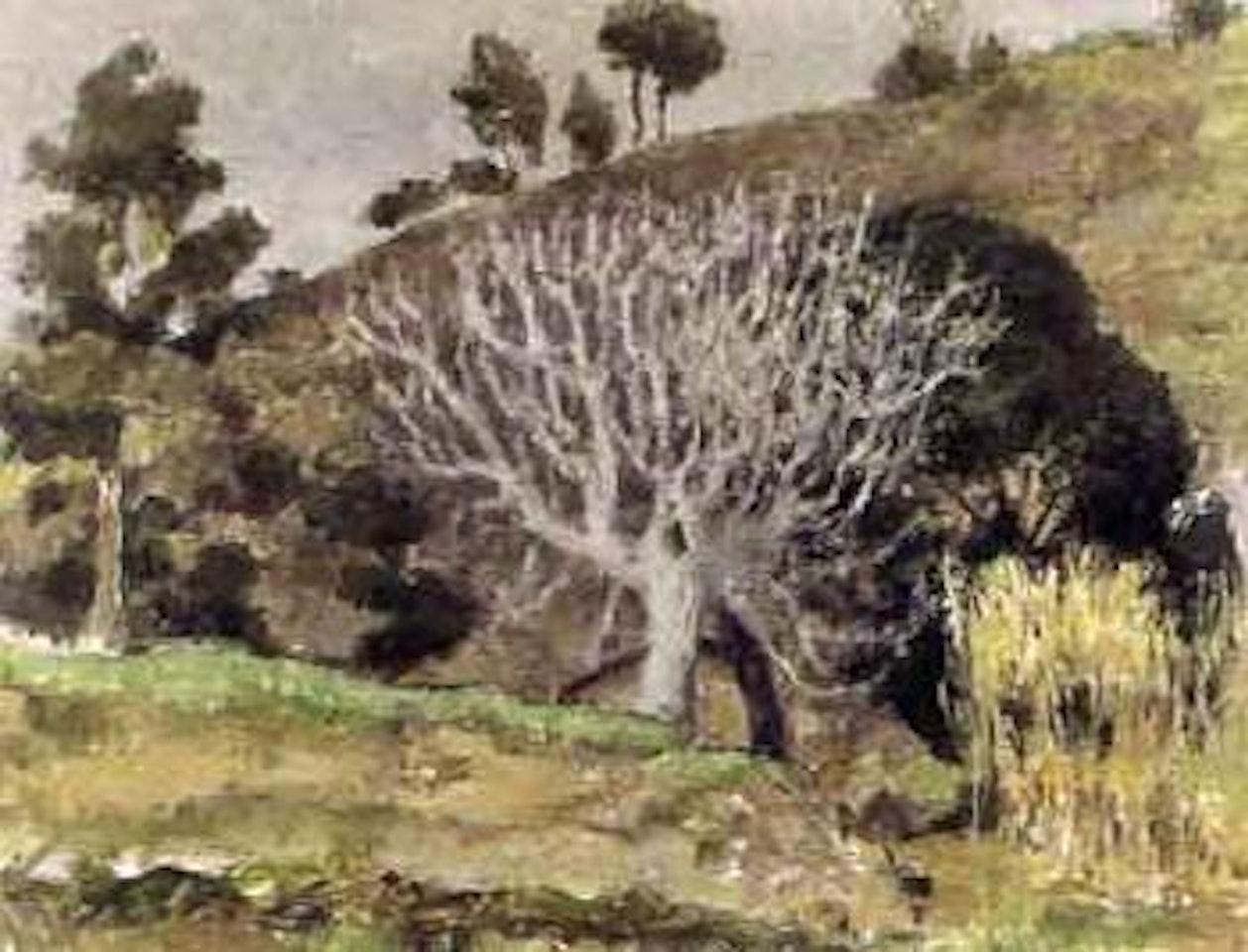 Hillside by Rupert Charles Wulsten Bunny