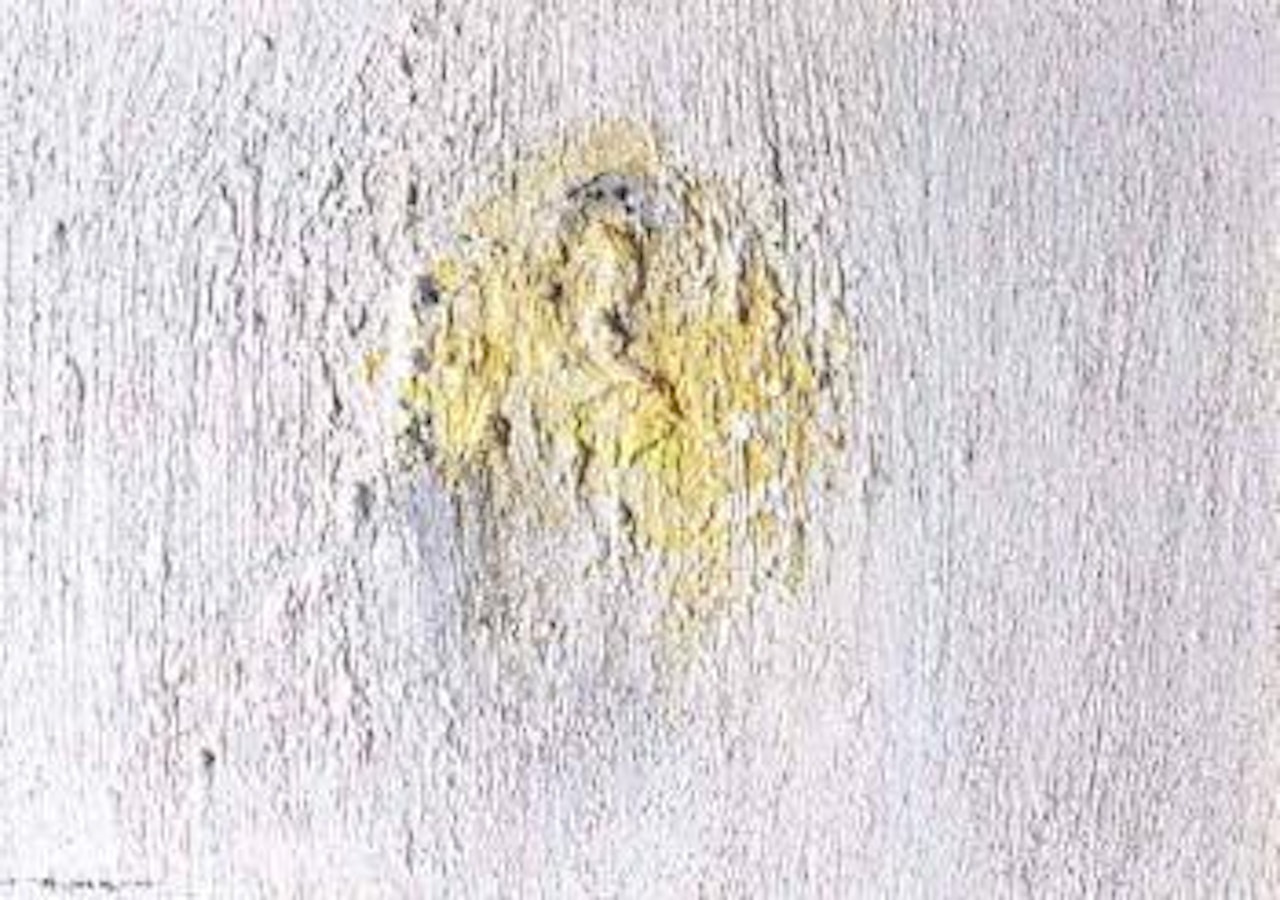 Lemon by Louis Le Brocquy