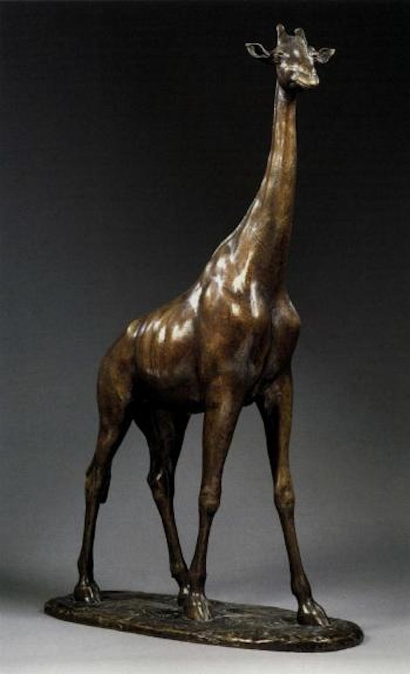 Giraffe by French School