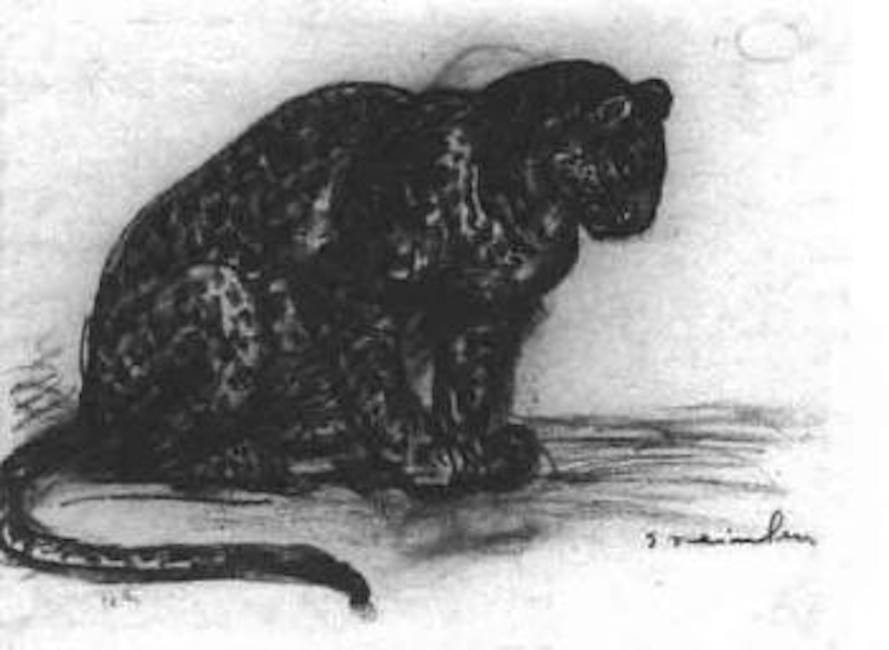 Seated panther by Théophile Alexandre Steinlen