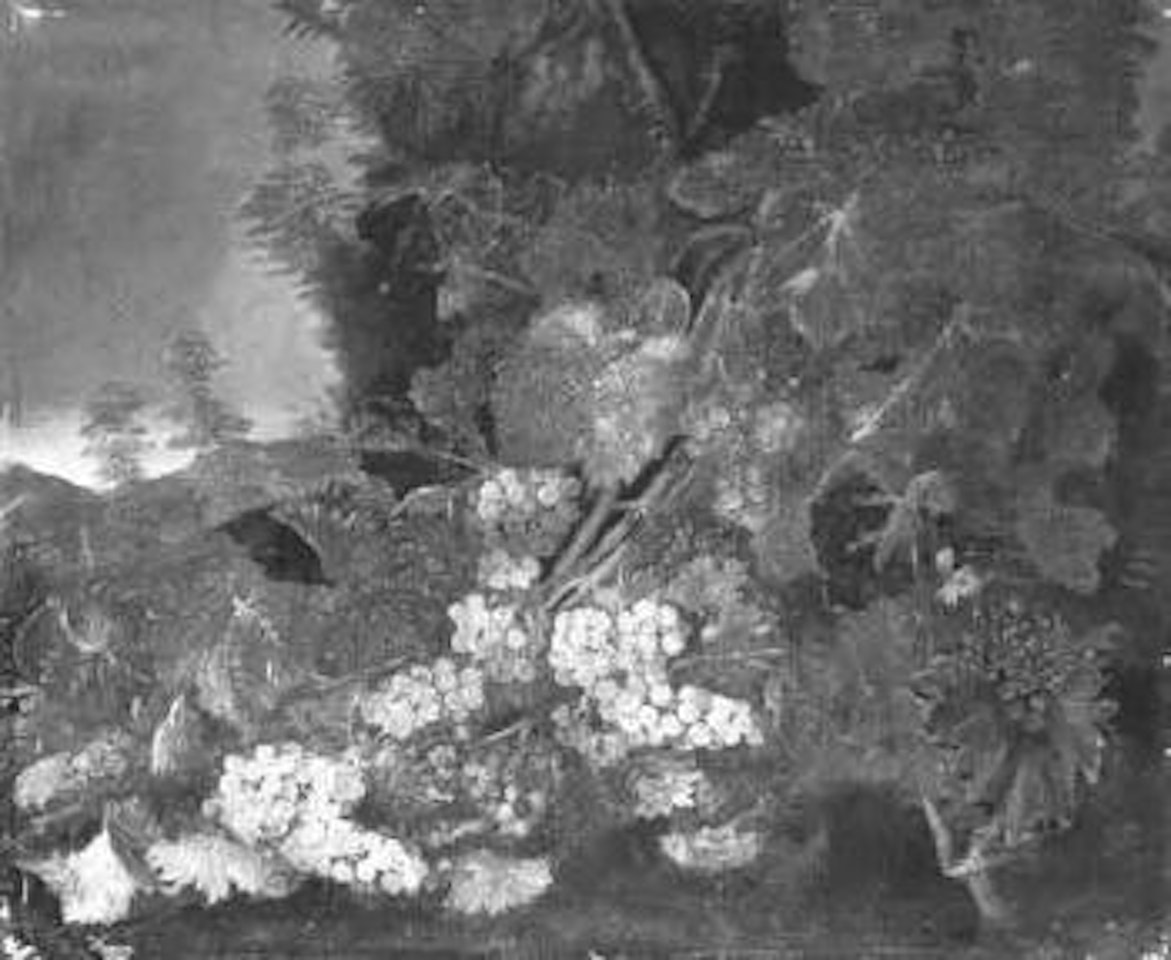 Natura morta con uva by Roman School