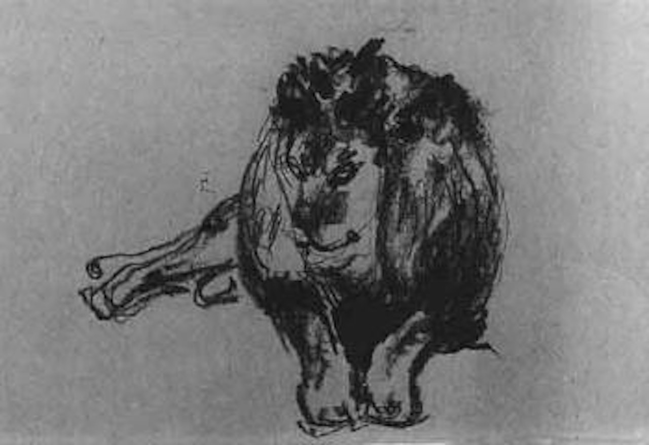 Male lion lying down by Edvard Munch