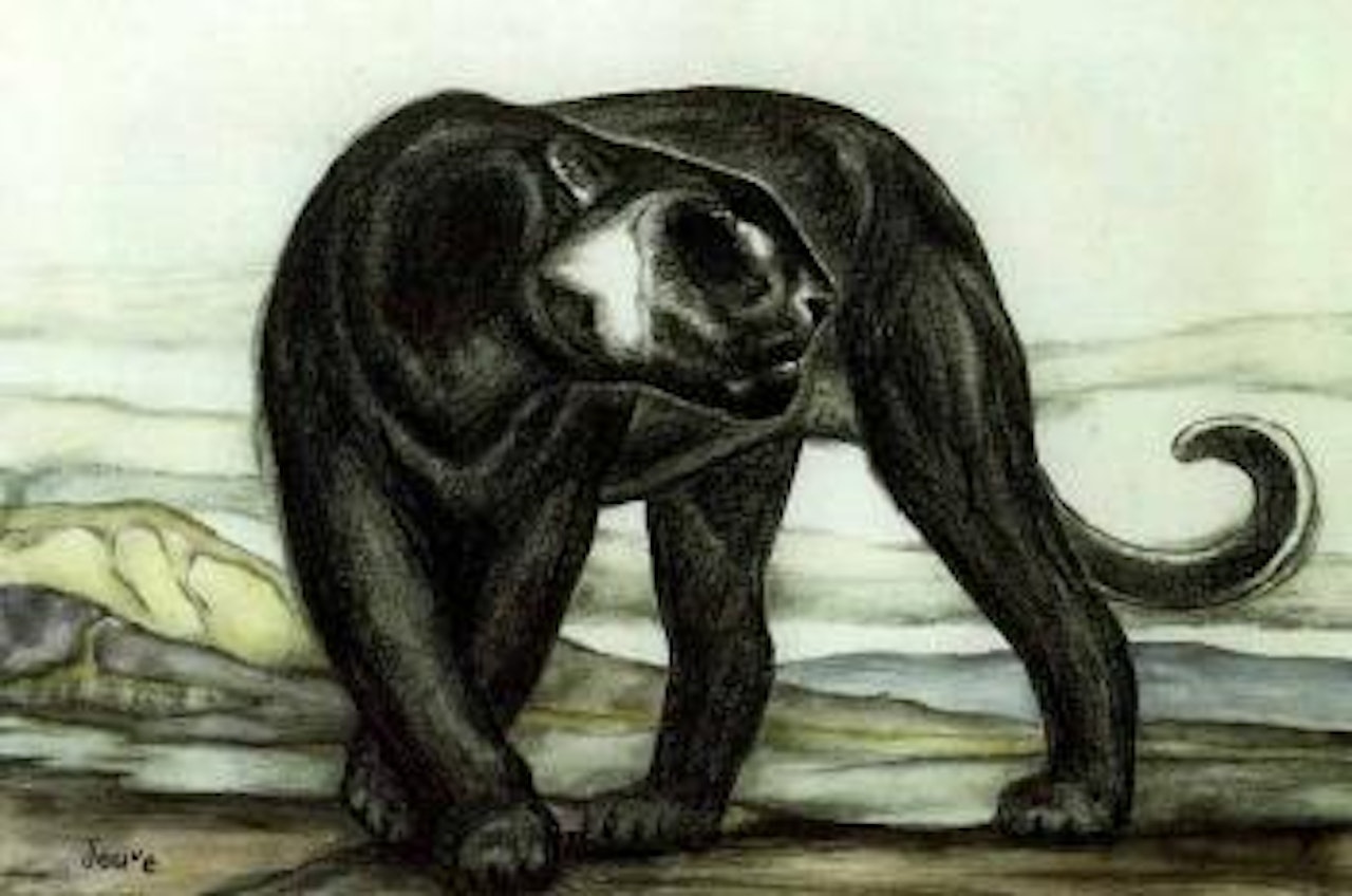 Panther by Paul Jouve