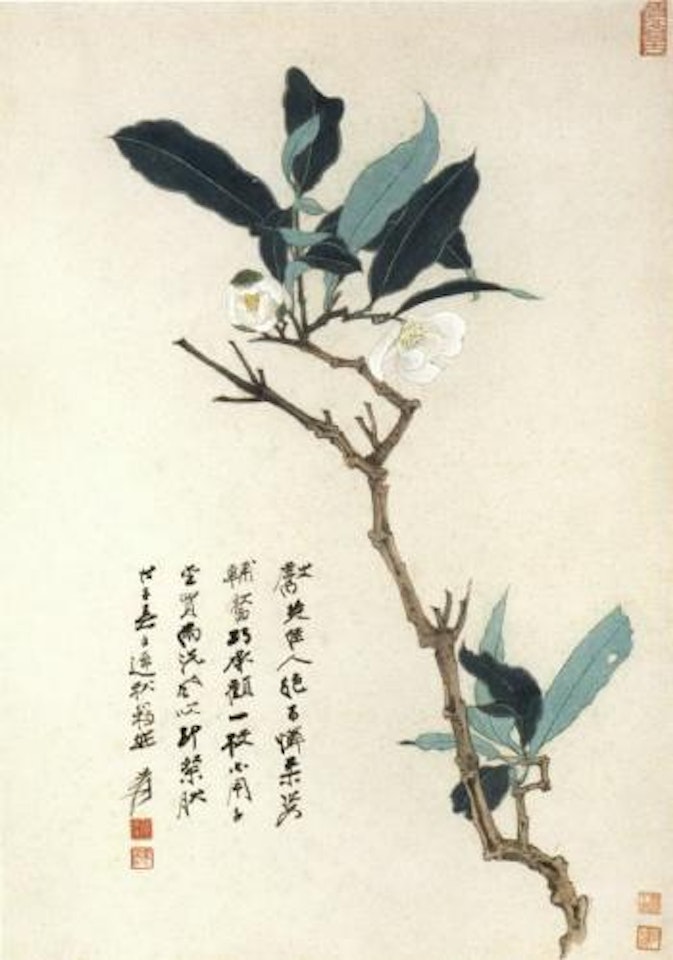 Magnolia by Zhang Daqian