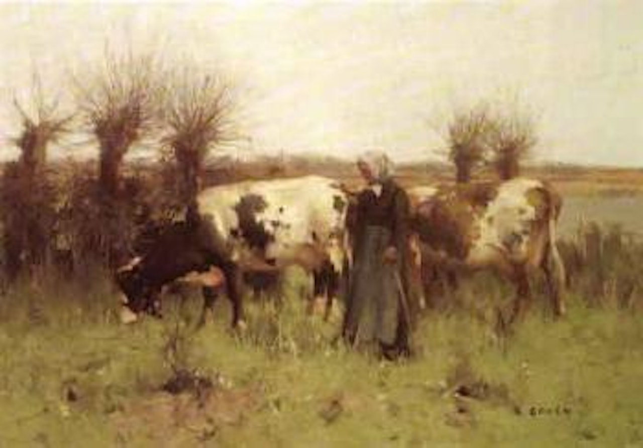 Cattle grazing in river landscape by David Gauld