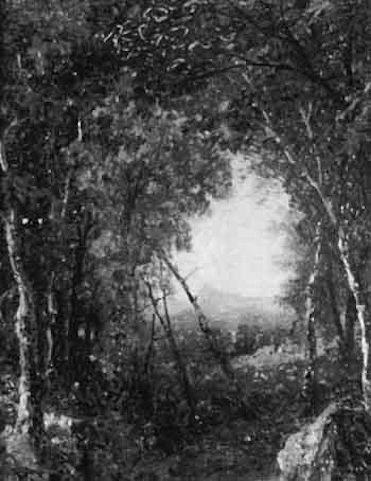View through the trees, early autumn by John Frederick Kensett