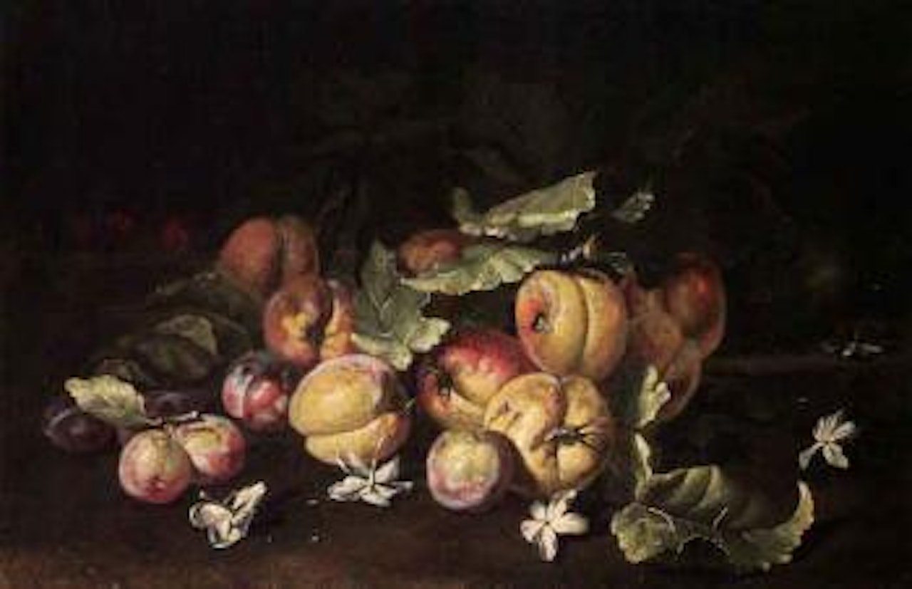 Peaches, plums, cherries and blossom on bank by Abraham Brueghel