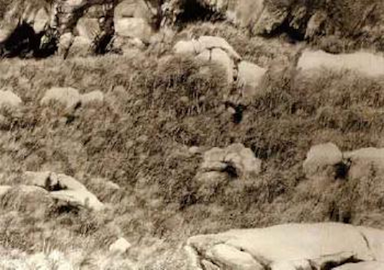 Landscape, Bohuslan by Roj Friberg