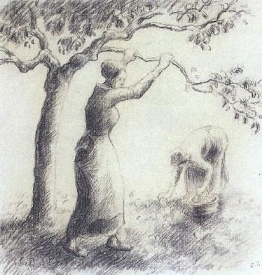 Harvest by Camille Pissarro