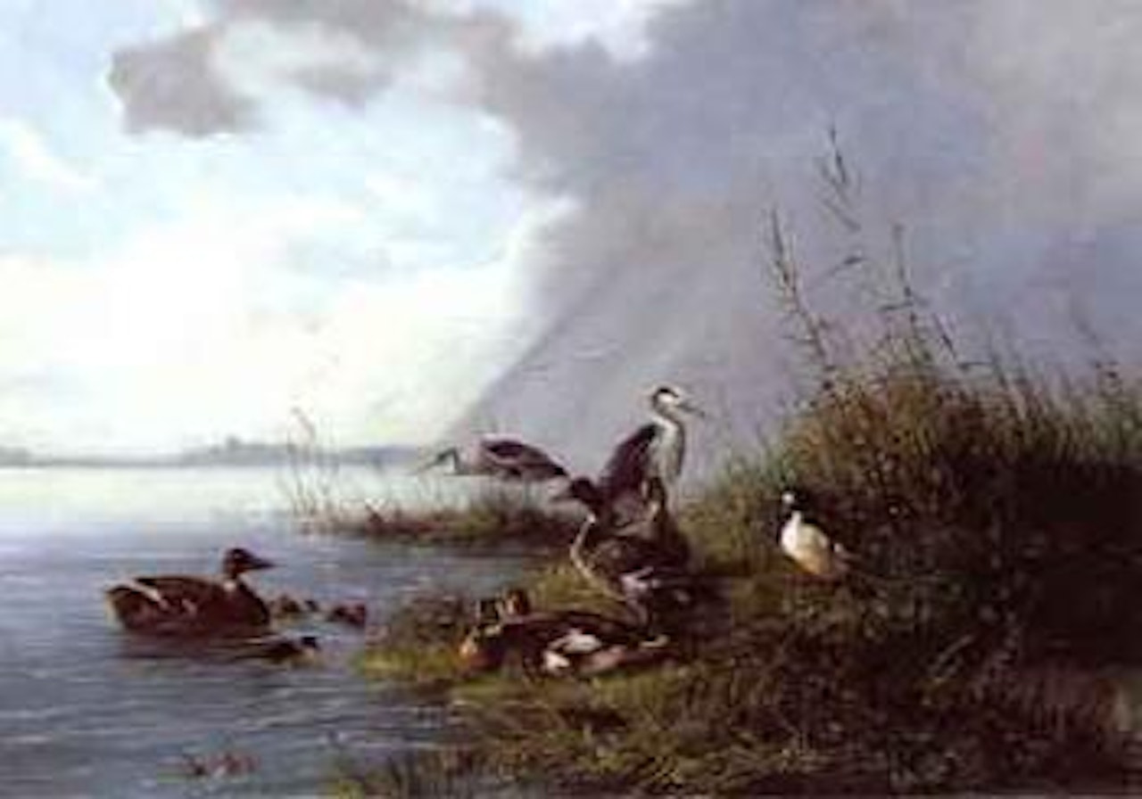 Herons and ducks on river bank by Dutch School