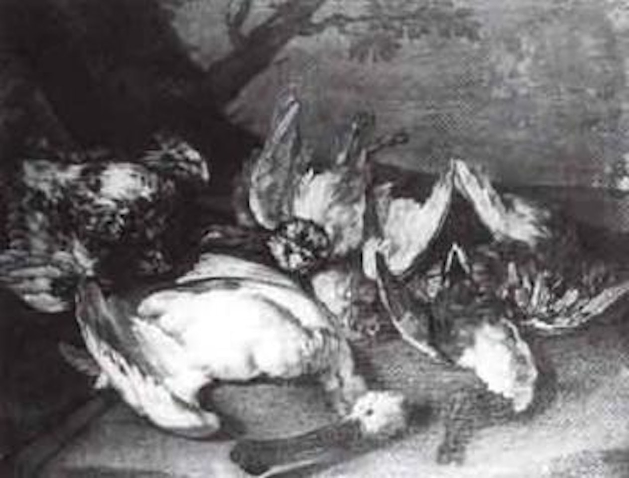 Still life of snipe, mallard, other birds in landscape by Franz Werner von Tamm
