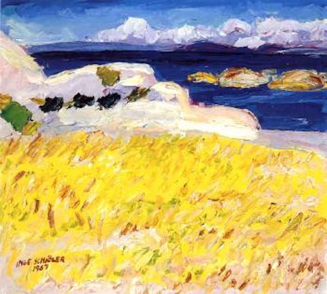 Field of yellow bedstraw by Inge Schiöler