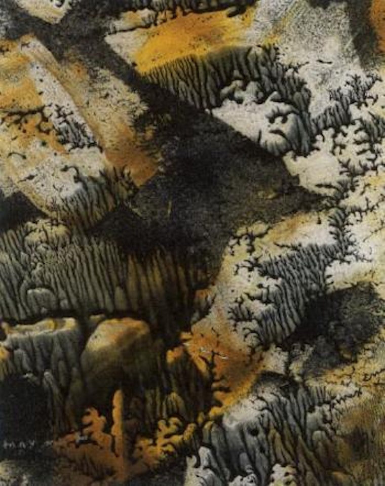 Flore alpine by Max Ernst
