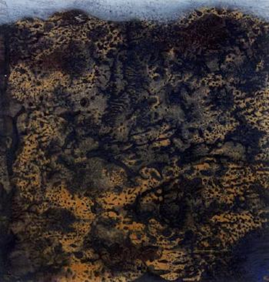 Arizona by Max Ernst
