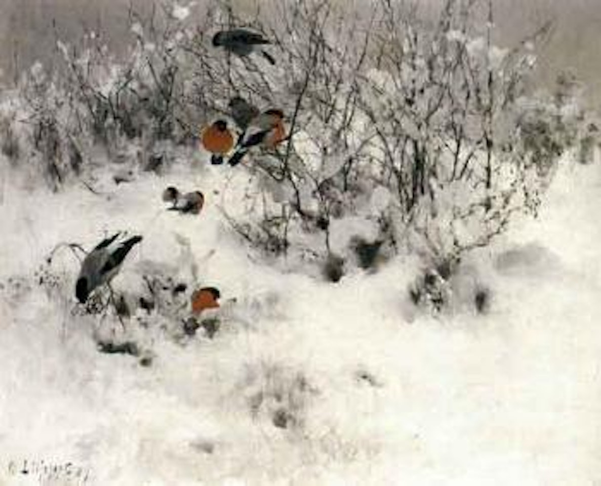 Bullfinches on snow covered branches by Bruno Liljefors
