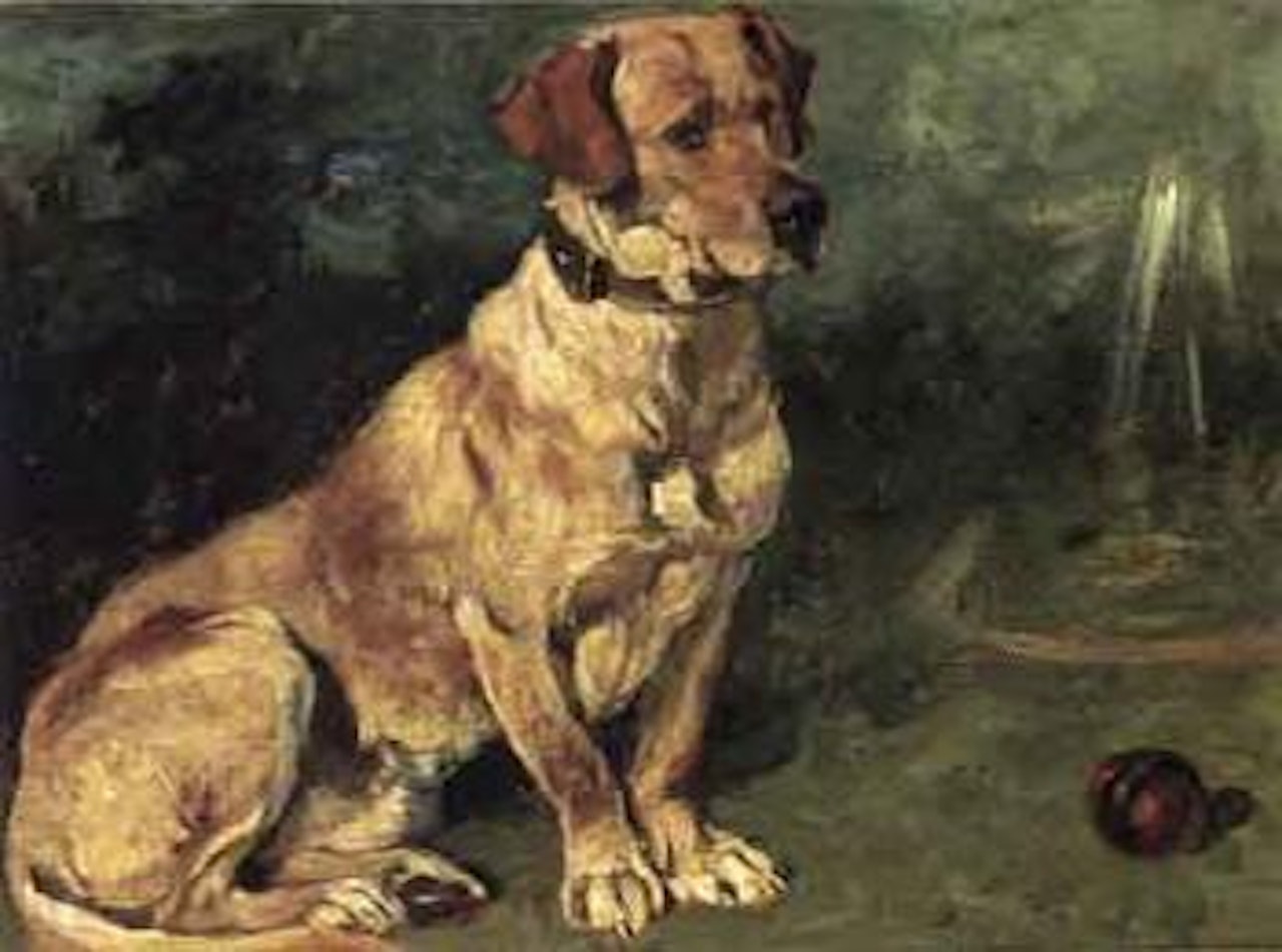 Golden retriever with ball by John Emms
