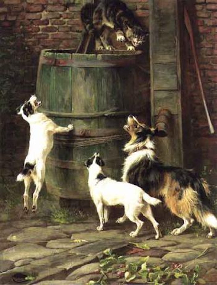 We just wanted to play, cat with dogs by Arthur Wardle