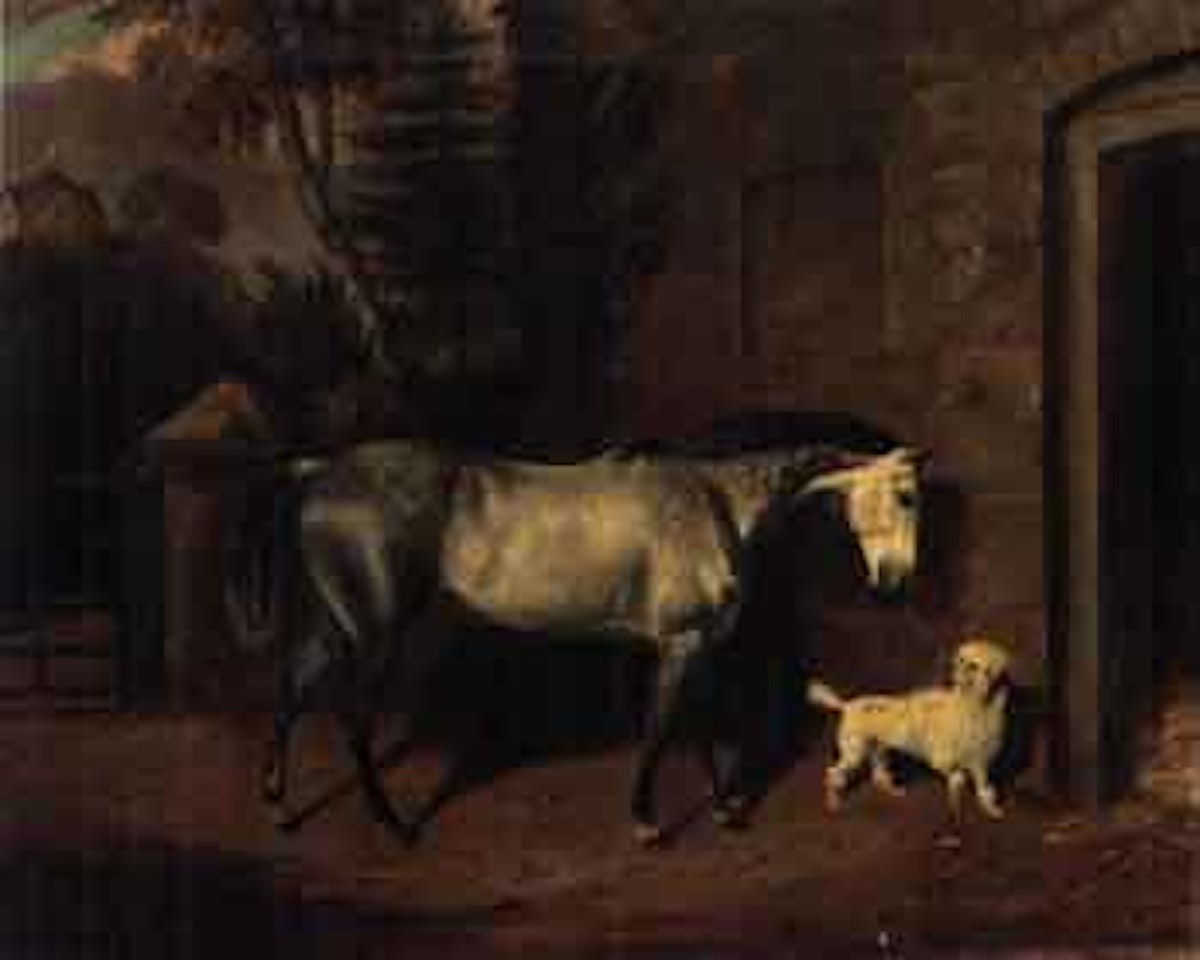 Dapple grey hunter with poodle outside stable by English School