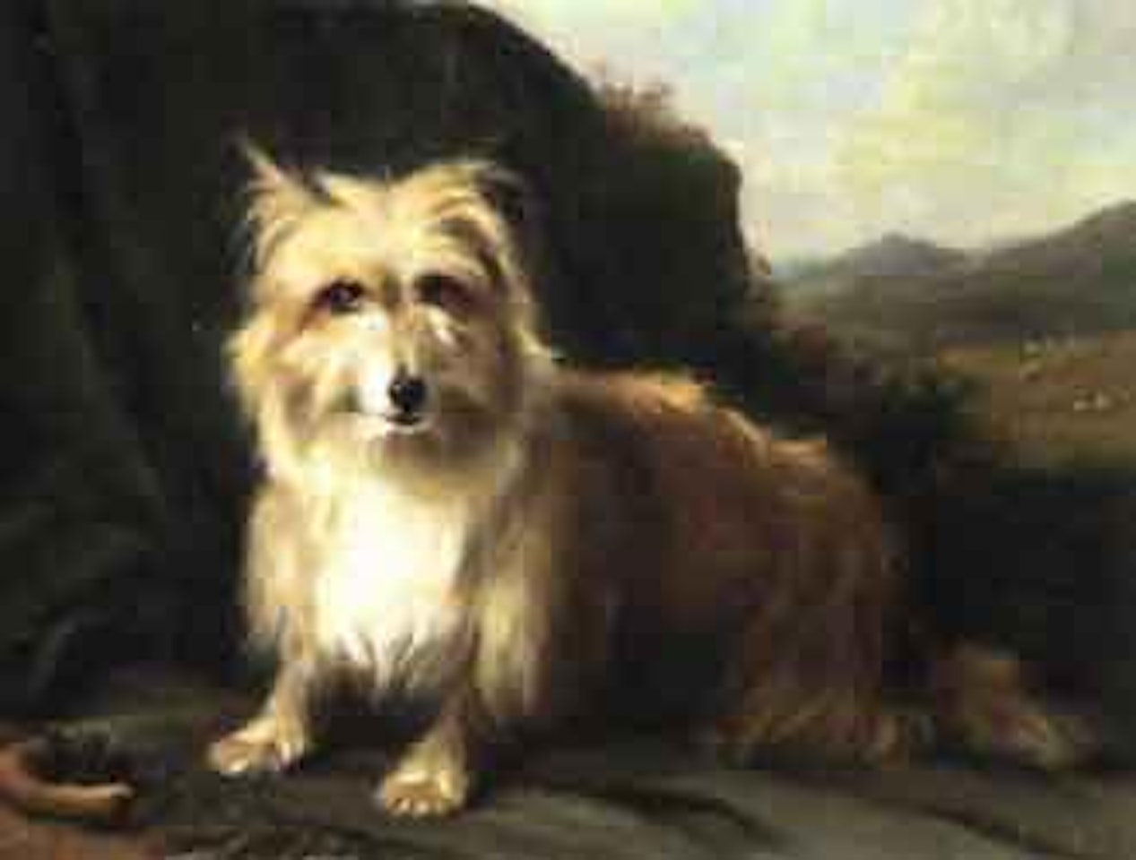 Cairn terrier on rug in landscape by Eugène Joseph Verboeckhoven