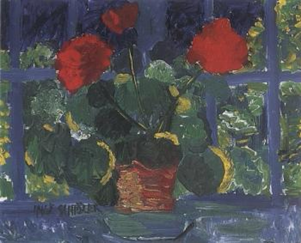 Potted plant on window ledge by Inge Schiöler