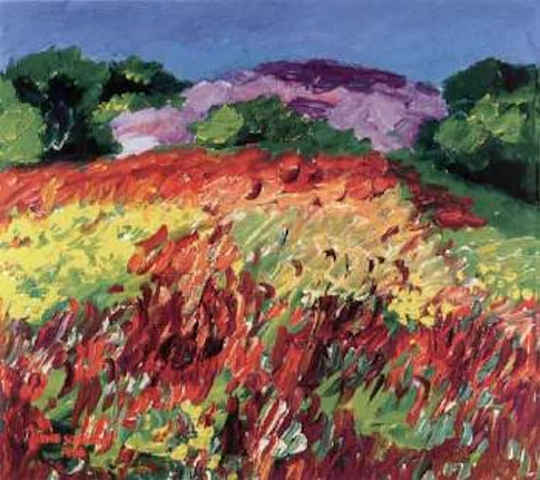 Flower meadow, Koster in summer by Inge Schiöler