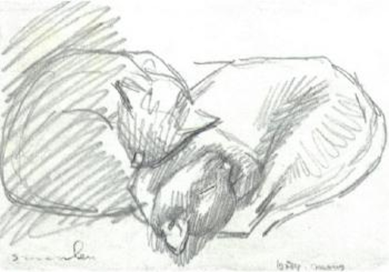 Dody-Mony by Théophile Alexandre Steinlen