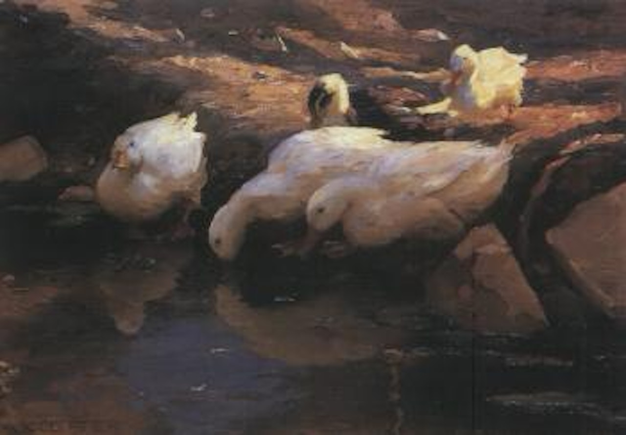 Five ducks on the water by Alexander Koester