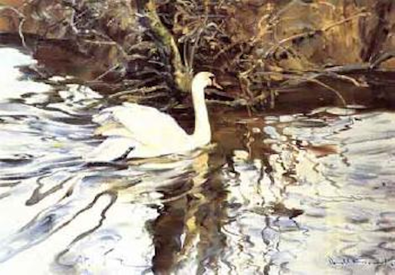 Swan by Donald Grant