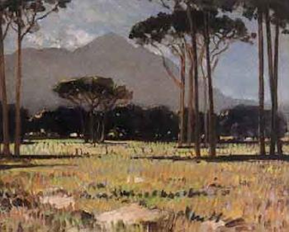 Rondebosch Common by Robert Gwelo Goodman