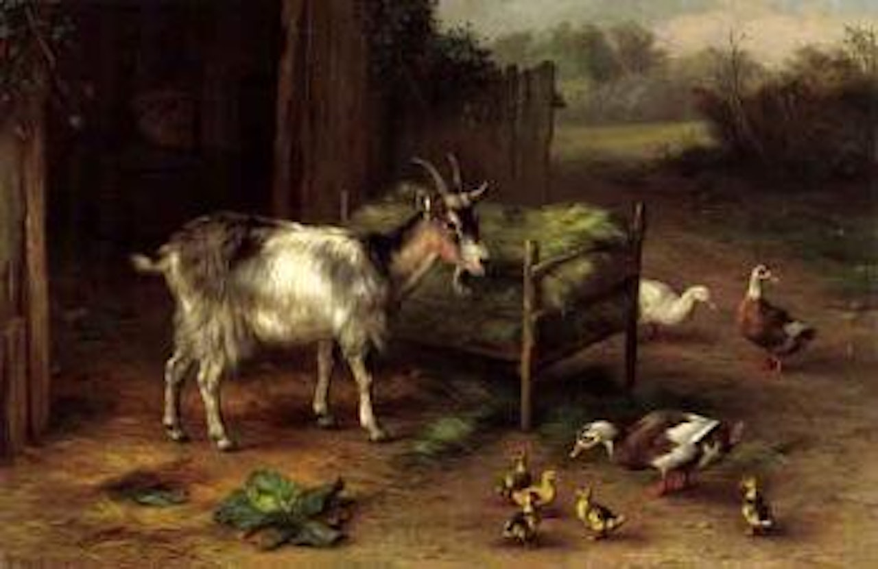 Share meal by Edgar Hunt