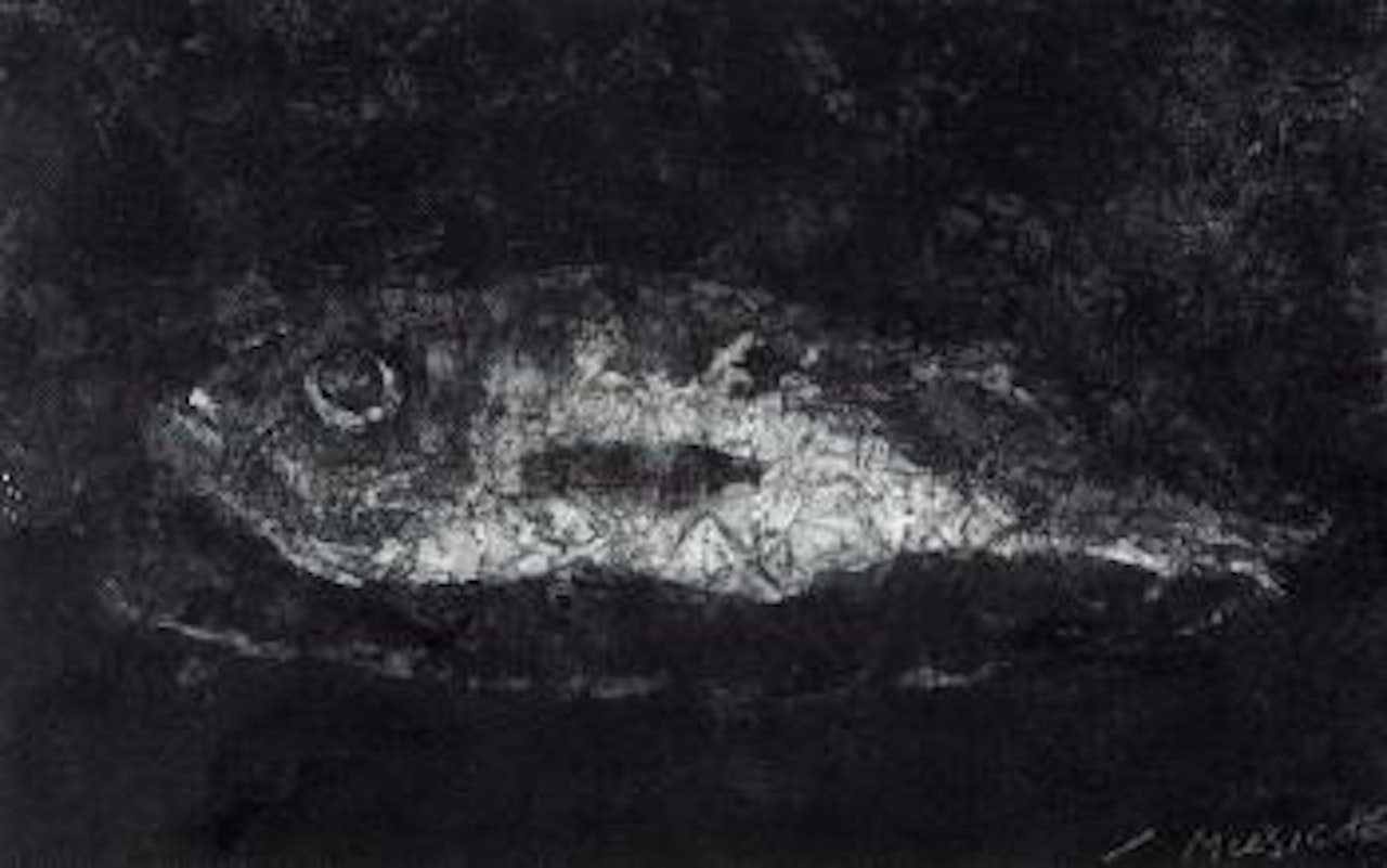 Pesce by Zoran Antonio Music