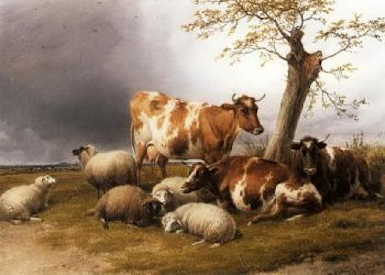 Cattle and sheep resting by Thomas Sidney Cooper