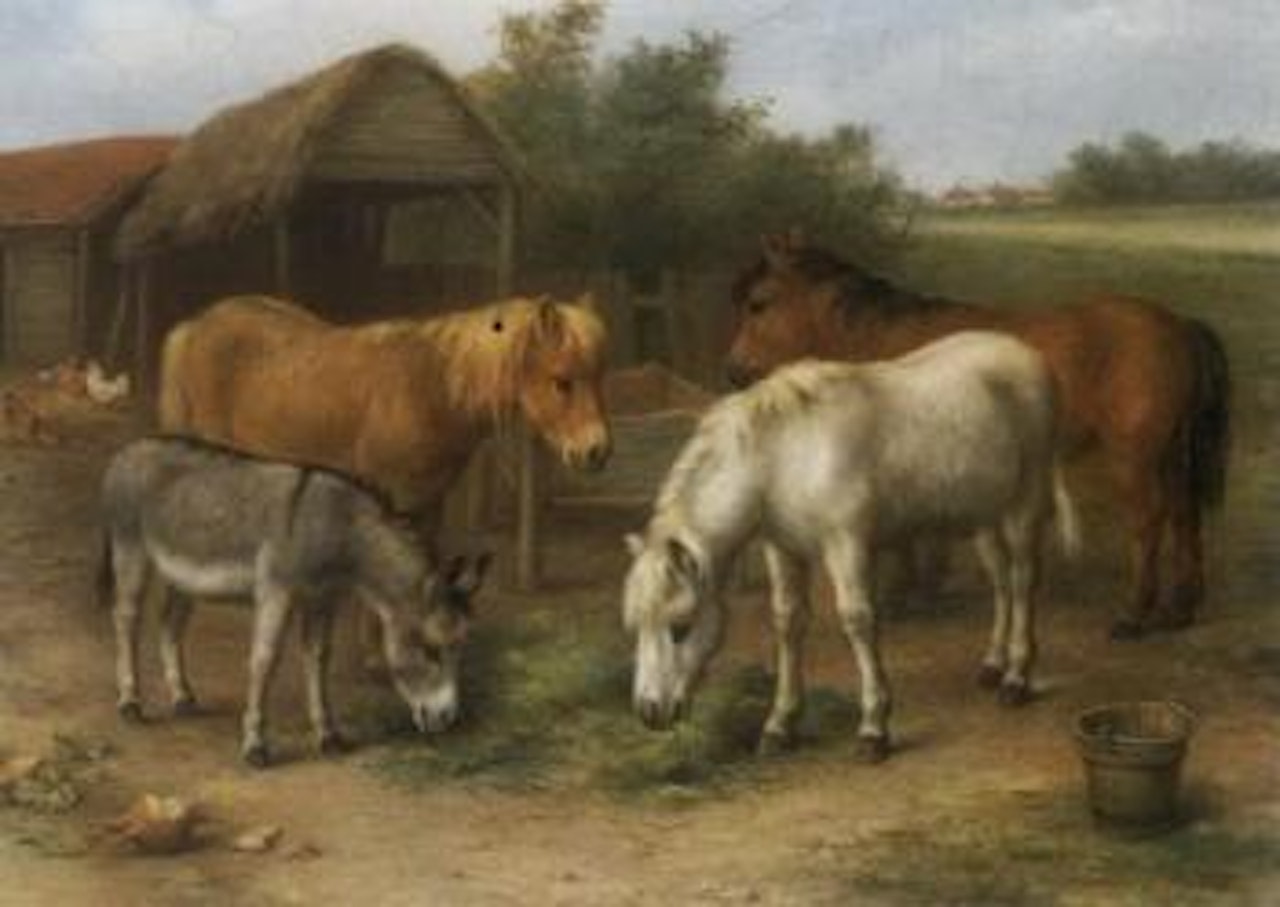 Ponies and donkey feeding by Edgar Hunt