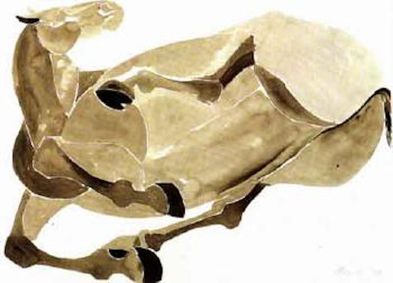 Rolling horse by Elisabeth Frink