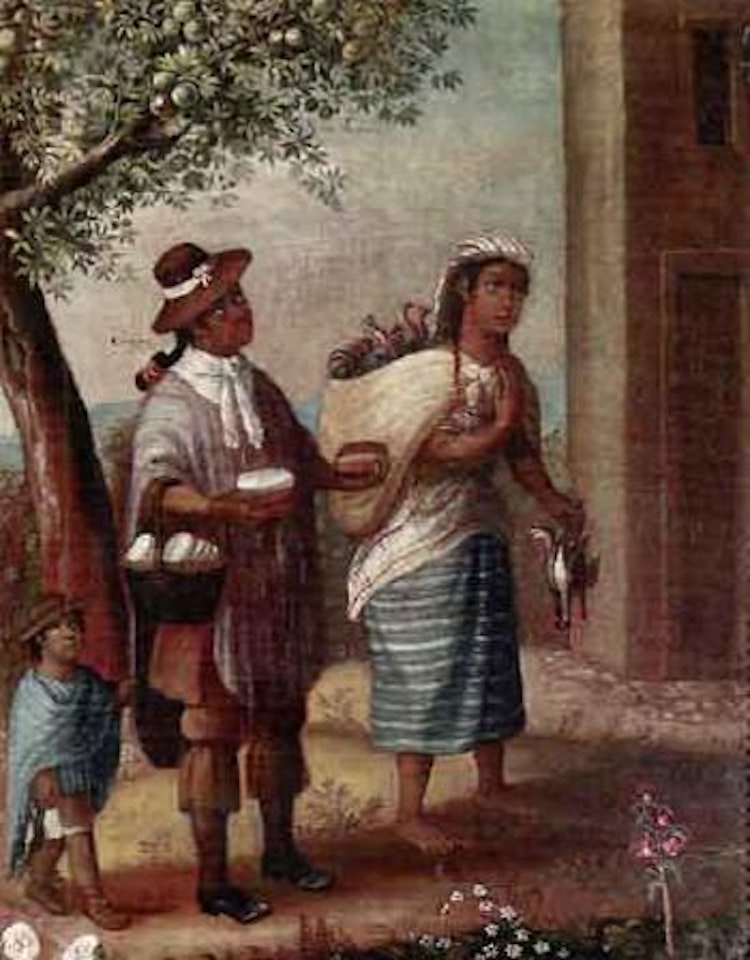De Sapote blanco y Coyote, Chamizo tornatras. De Albina y Cambuzo, tente enel ayre by Mexican School