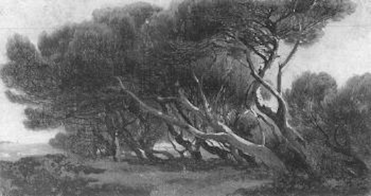Au bord de la mer by Alexandre Calame