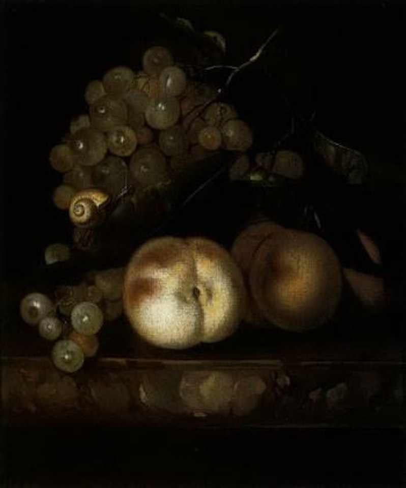 Still life of peaches, grapes with snail by Willem van Aelst