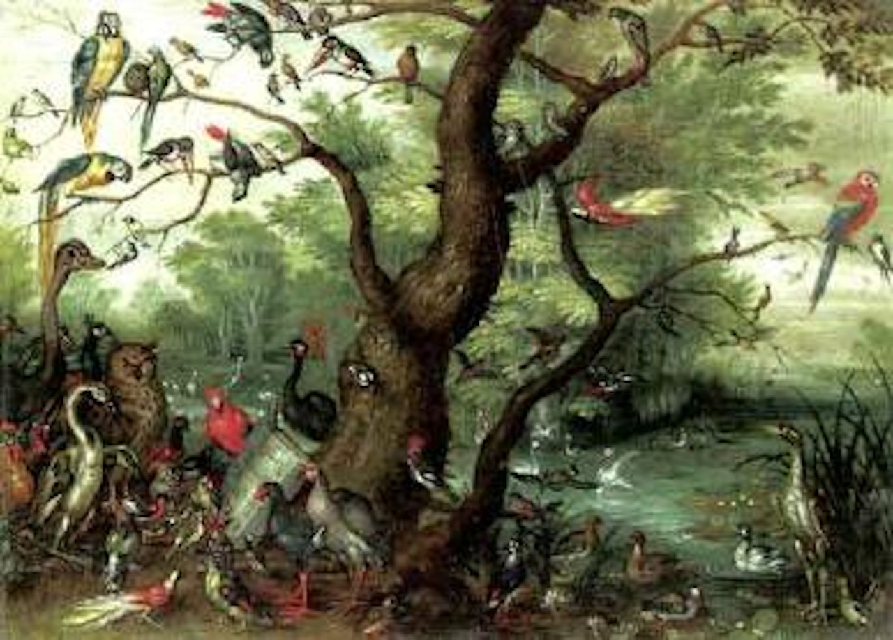 Concert of birds by Jan Brueghel the Younger