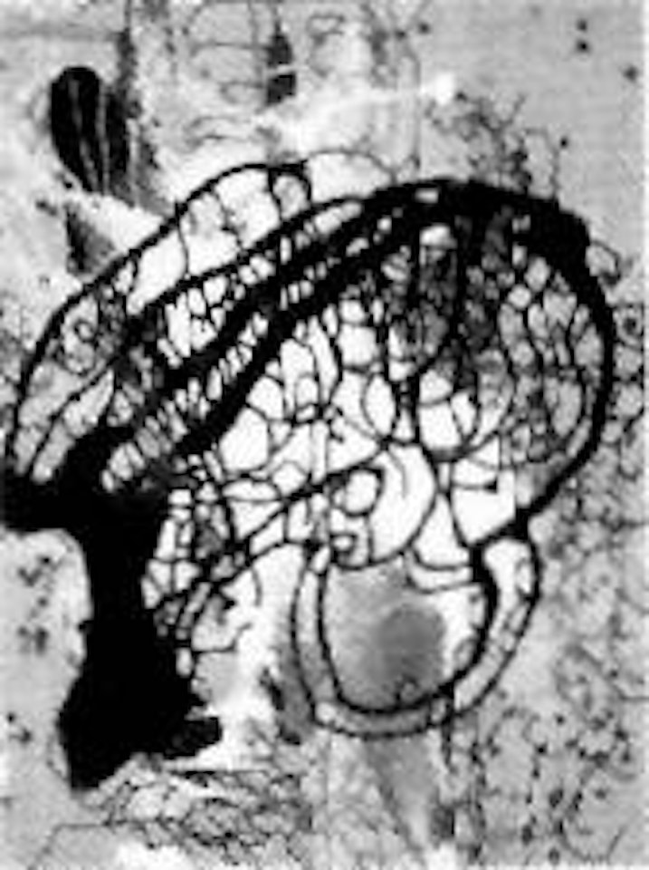 Untitled by Sigmar Polke