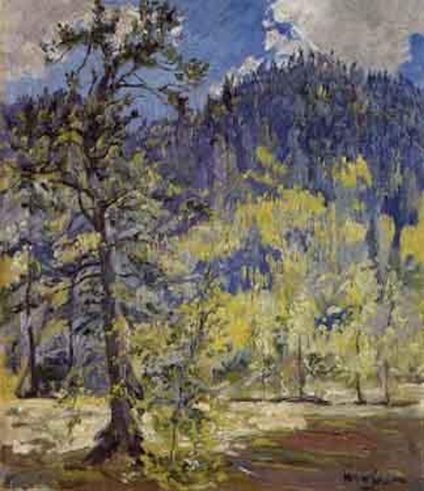 Canon de Cajon by Walter Ufer