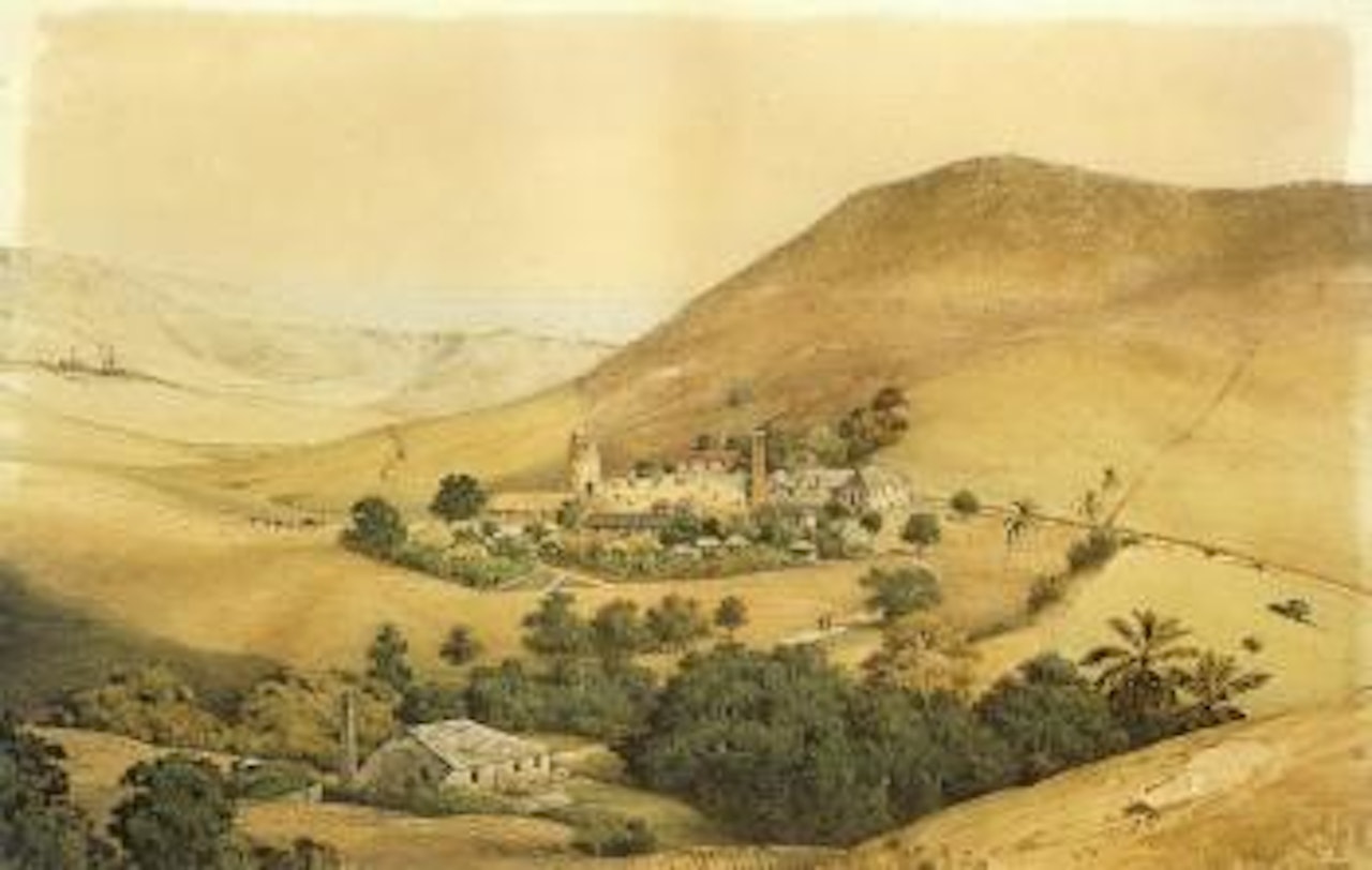 View of the Shadwell Estate, St. Kitts by Michel J Cazabon
