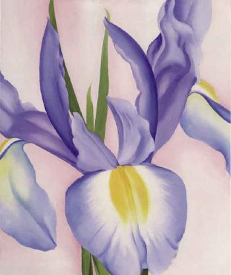 Lavender iris by Georgia O'Keeffe