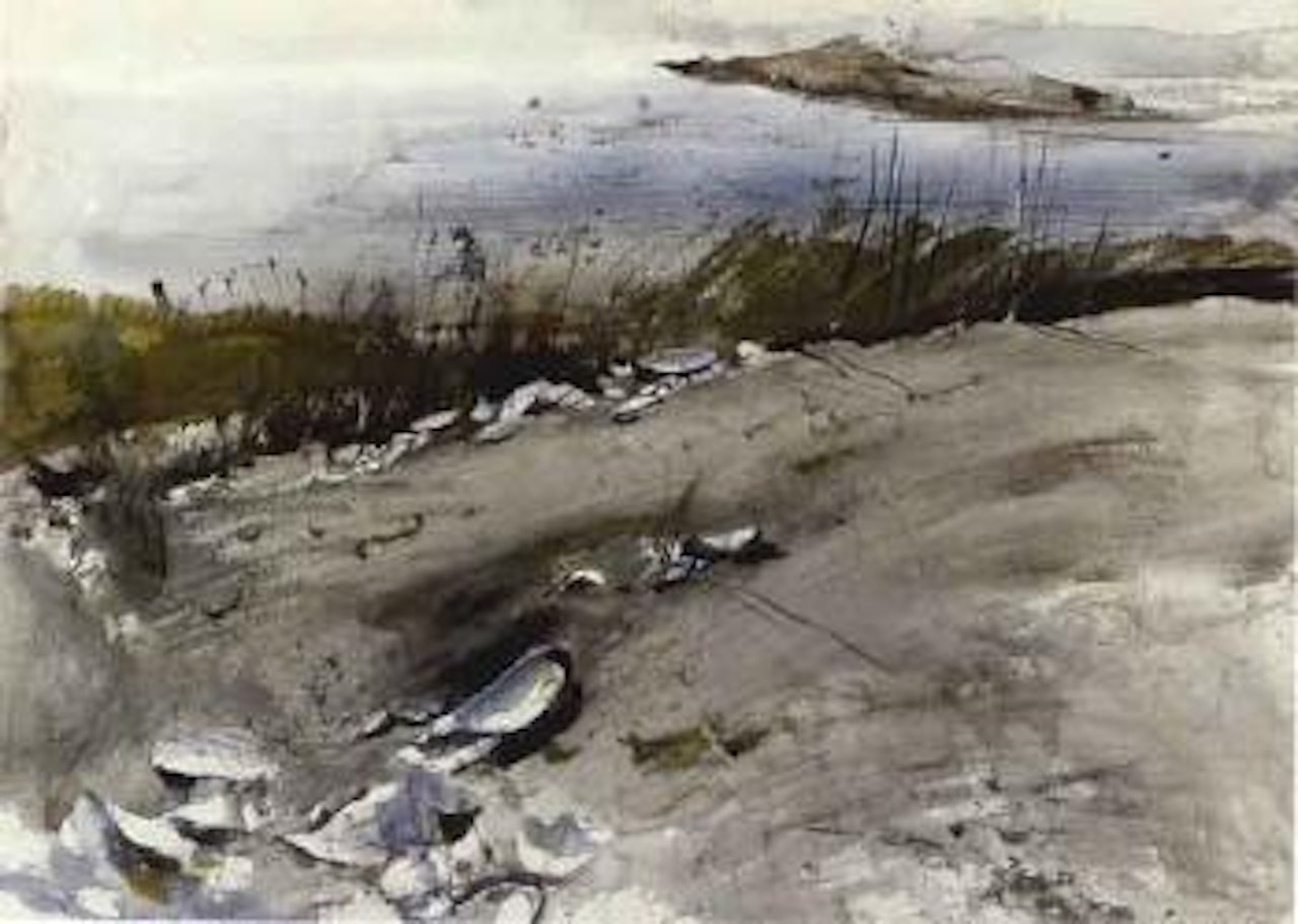 Blue mussels by Andrew Wyeth