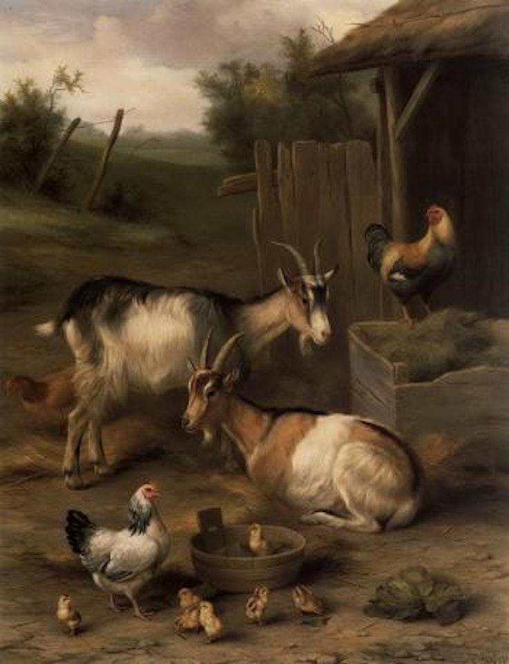Goats and chickens by Edgar Hunt