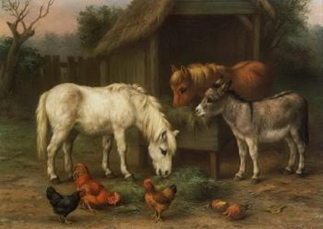 Ponies, chickens and donkey in stable. Ponies and donkey with chickens by Edgar Hunt