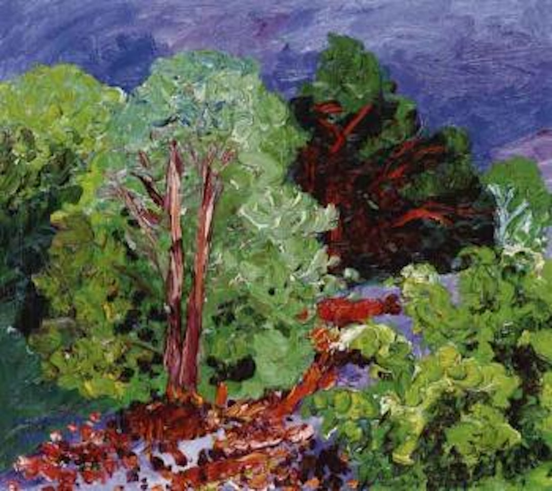 Pine grove, Sydkoster by Inge Schiöler