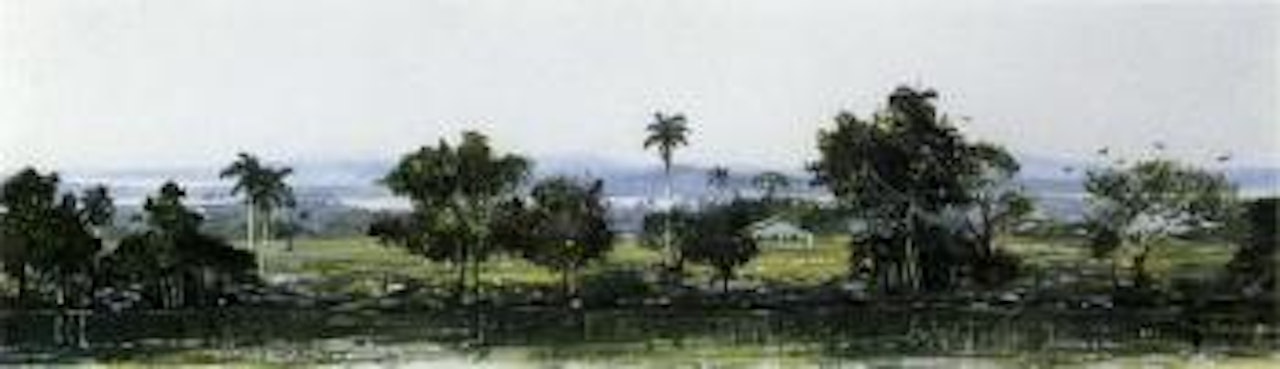 Paisaje cubano by Tomas Sanchez