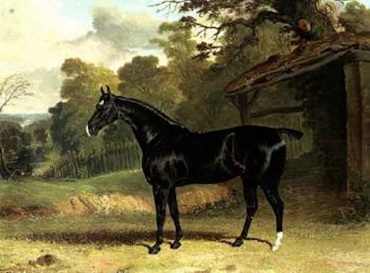 Black Tom - black hunter beside stable in wooded landscape by John Frederick Herring