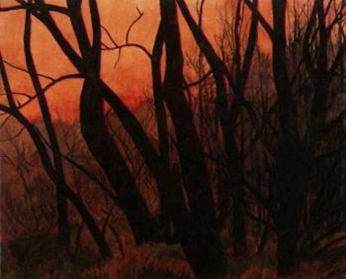 Trees by Léon Spilliaert