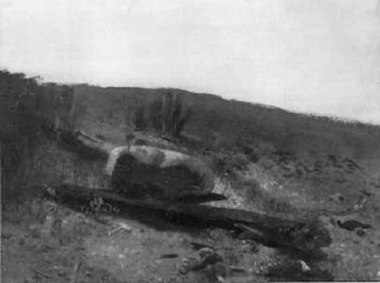 Rock and log on a hilltop by Albert Bierstadt